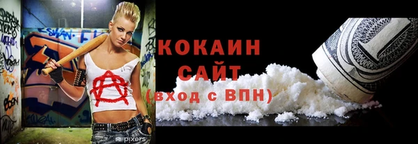 хмурый Алексин