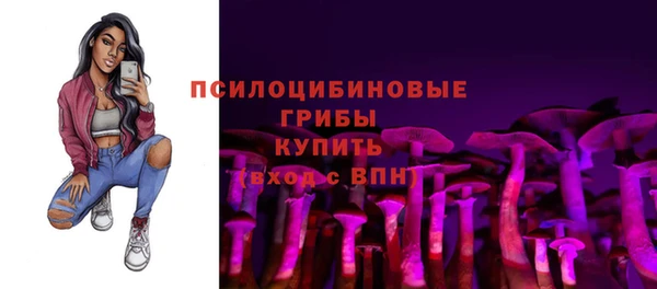 ГАЛЛЮЦИНОГЕННЫЕ ГРИБЫ Алзамай