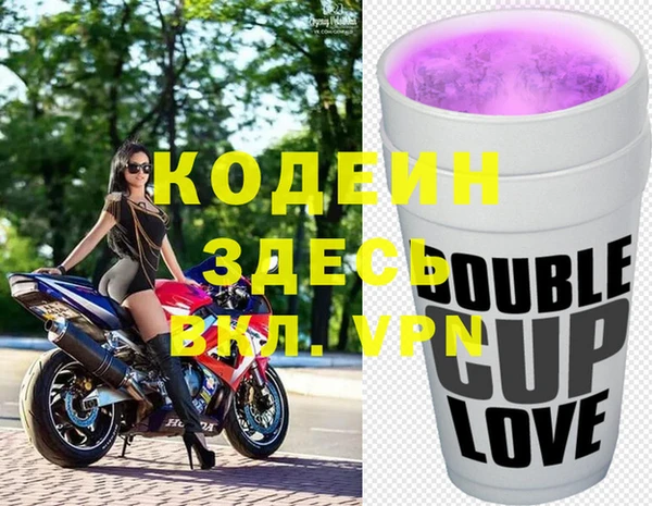 хмурый Алексин