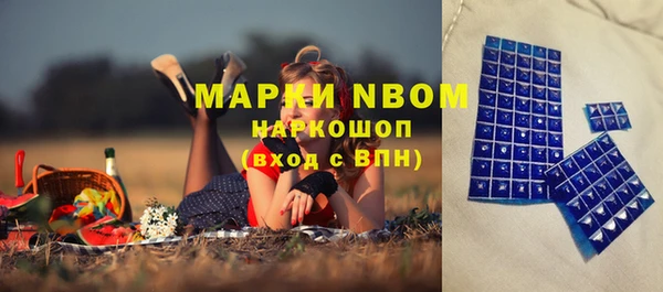 хмурый Алексин