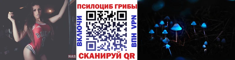 Псилоцибиновые грибы Psilocybe  купить  сайты  Апрелевка 